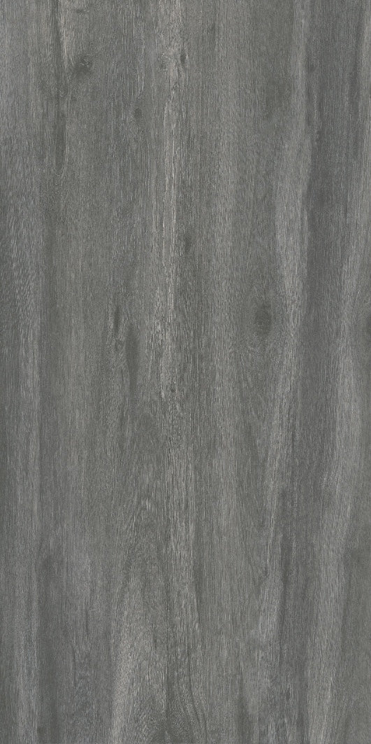 4505943410cd409a1c6198261c953fb7